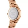 ZEGAREK DAMSKI DANIEL WELLINGTON DW00100212 - ICONIC LINK 32mm (zw502b)