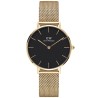 ZEGAREK DAMSKI DANIEL WELLINGTON DW00100349 - PETITE EVERGOLD 28mm (zw501c)