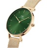 ZEGAREK DAMSKI DANIEL WELLINGTON DW00100479 - PETITE EMERALD 28mm (zw501g)