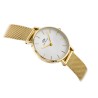 ZEGAREK DAMSKI DANIEL WELLINGTON DW00100350 - Petite Evergold 28mm