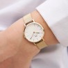 ZEGAREK DAMSKI DANIEL WELLINGTON DW00100350 - Petite Evergold 28mm