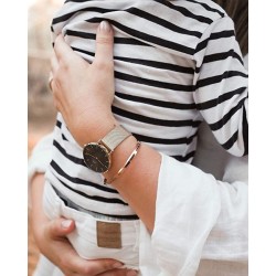 ZEGAREK DAMSKI DANIEL WELLINGTON DW00100347 - PETITE EVERGOLD 32mm (zw500e)