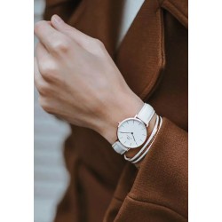 ZEGAREK DAMSKI DANIEL WELLINGTON DW00100189 - CLASSIC PETITE BONDI 32mm (zw504c)