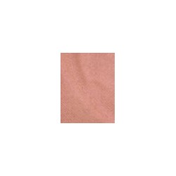 Physicians Formula  Soft Petal Rosé All Day Petal Glow  Rozświetlacz pudrowa 9,2 g (W) (P2)