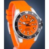 Zegarek Festina THE ORIGINALS  20664/4