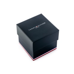 ZEGAREK MĘSKI TOMMY HILFIGER 1791854 ASHER (zf040a)