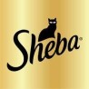 SHEBA